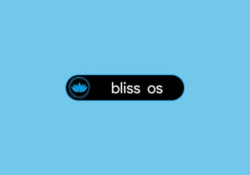 Операционка Bliss для ПК создана на базе Android Pie и даже позволяет скачивать приложения из Google Play
