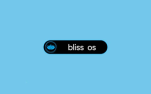 Операционка Bliss для ПК создана на базе Android Pie и даже позволяет скачивать приложения из Google Play