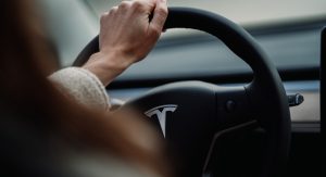 Блогеры тестируют автопилот Tesla… на собаках. Деградация уже близко