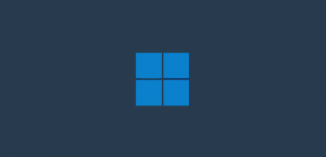 Крупное обновление Windows 11 Moment 4 стало доступно всем пользователям