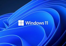 Самую свежую Windows 11 23H2 теперь может скачать любой желающий