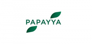 В России появится новая платёжная система? Название уже есть — Papayya