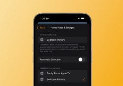 iOS 18 разрешает выбрать хаб умного дома вручную