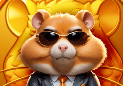 Hamster Kombat вышел на Bybit. Монеты HMSTR уже можно покупать