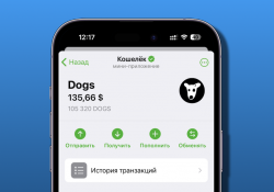 Как продать DOGS, которые начислились в «Кошелек» Telegram? Есть несколько способов, от простых до выгодных