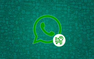 WhatsApp выведет защиту ваших данных на новый уровень