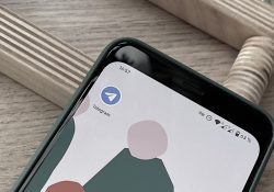 Telegram умирает в России, а во всем мире — нет. Что происходит?