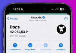 Проект DOGS раздал крипту. Какие есть еще тапалки в Telegram