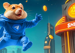 Стало известно, сколько заработали игроки в Hamster Kombat