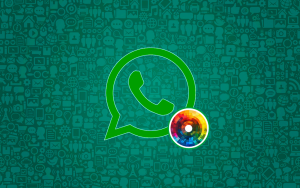 WhatsApp перестанет быть серым и скучным. Красота уже на подходе