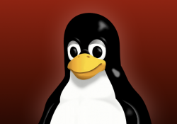 «Свободный и независимый» Linux забанил российских разработчиков из-за санкций