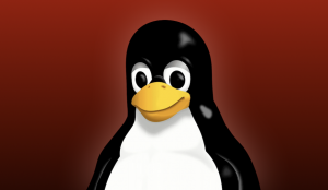 «Свободный и независимый» Linux забанил российских разработчиков из-за санкций