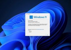 Проблемы с установкой Windows 11 24H2: что нужно знать
