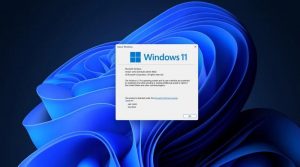 Проблемы с установкой Windows 11 24H2: что нужно знать