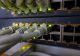 Роскомнадзор рекомендует отказаться от иностранных VPN: что нужно знать