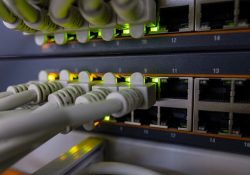Роскомнадзор рекомендует отказаться от зарубежных VPN: что нужно знать