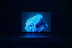 Проблемы с обновлением Windows 11 24H2: сбои в работе накопителей SSD и HDD