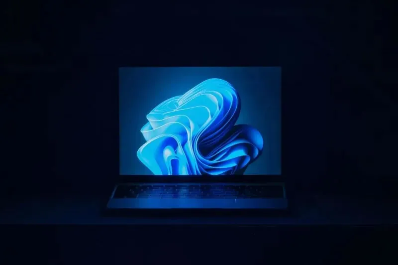 Проблемы с обновлением Windows 11 24H2: сбои в работе накопителей SSD и HDD